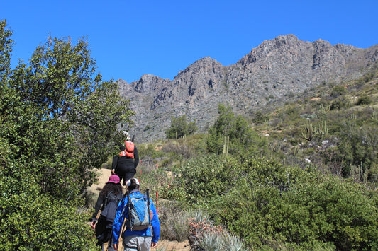 Chile from above: Hiking experience