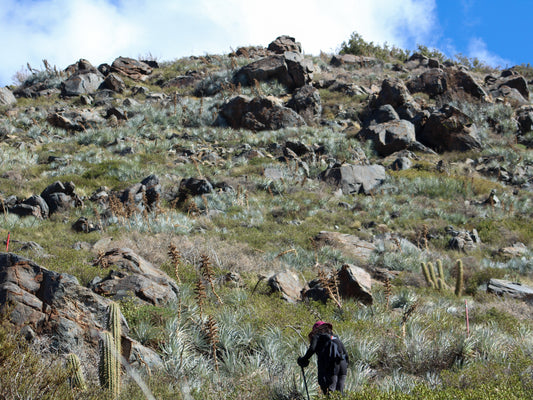 Chile from above: Hiking experience